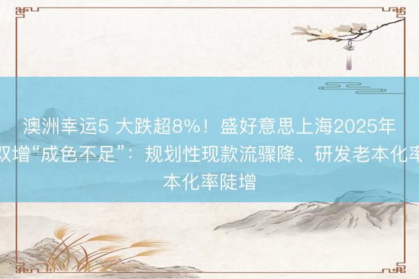 澳洲幸運5 大跌超8%！盛好意思上海2025年牟利雙增“成色不足”：規(guī)劃性現(xiàn)款流驟降、研發(fā)老本化率陡增