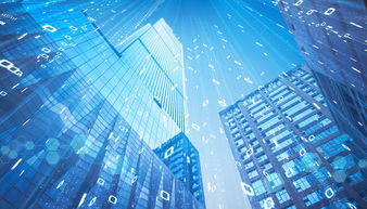 智慧城市建設(shè)中的桎梏與反思 以互聯(lián)網(wǎng)數(shù)據(jù)服務(wù)為鏡鑒